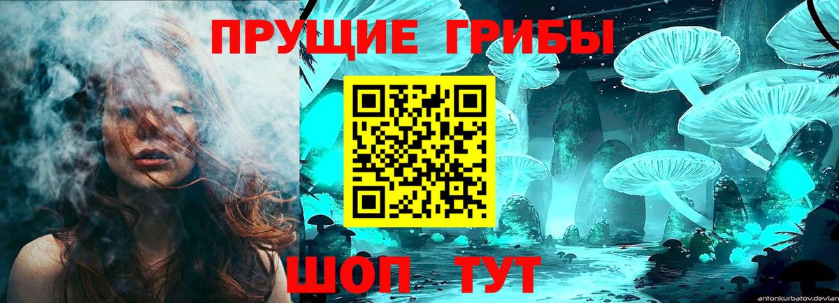 Губкин  Псилоцибиновые грибы Cubensis  Вход с VPN  Псилоцибиновые грибы мицелий 