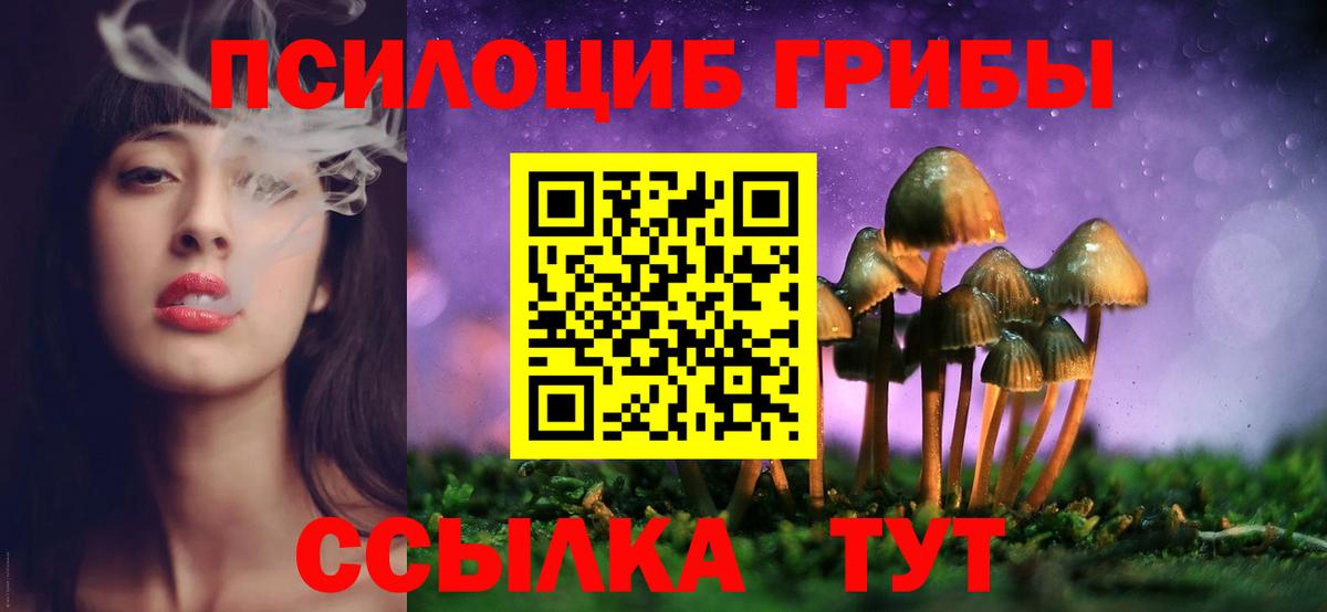 Псилоцибиновые грибы прущие грибы Губкин